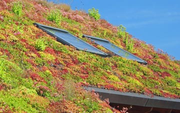 Stonecrouch living roof systems