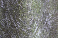 Stonecrouch fibreglass roof work